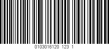 Código de barras (EAN, GTIN, SKU, ISBN): '0103016120_123_1'
