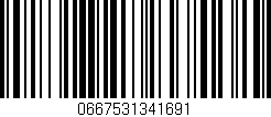 Código de barras (EAN, GTIN, SKU, ISBN): '0667531341691'