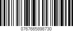 Código de barras (EAN, GTIN, SKU, ISBN): '0767665898730'