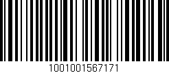 Código de barras (EAN, GTIN, SKU, ISBN): '1001001567171'