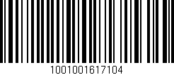 Código de barras (EAN, GTIN, SKU, ISBN): '1001001617104'