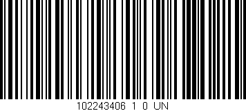 Código de barras (EAN, GTIN, SKU, ISBN): '102243406_1_0_UN'