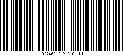 Código de barras (EAN, GTIN, SKU, ISBN): '102246913_217_0_UN'