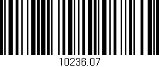 Código de barras (EAN, GTIN, SKU, ISBN): '10236.07'