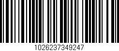 Código de barras (EAN, GTIN, SKU, ISBN): '1026237349247'