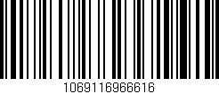 Código de barras (EAN, GTIN, SKU, ISBN): '1069116966616'