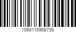 Código de barras (EAN, GTIN, SKU, ISBN): '1069116966739'