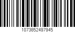 Código de barras (EAN, GTIN, SKU, ISBN): '1073852497945'