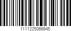 Código de barras (EAN, GTIN, SKU, ISBN): '1111225066845'
