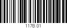 Código de barras (EAN, GTIN, SKU, ISBN): '117B.01'