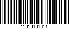 Código de barras (EAN, GTIN, SKU, ISBN): '12020101011'