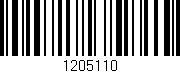 Código de barras (EAN, GTIN, SKU, ISBN): '1205110'