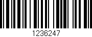 Código de barras (EAN, GTIN, SKU, ISBN): '1236247'