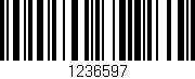 Código de barras (EAN, GTIN, SKU, ISBN): '1236597'