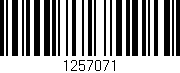 Código de barras (EAN, GTIN, SKU, ISBN): '1257071'
