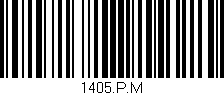 Código de barras (EAN, GTIN, SKU, ISBN): '1405.P.M'