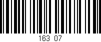 Código de barras (EAN, GTIN, SKU, ISBN): '163/07'