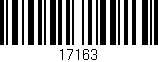 Código de barras (EAN, GTIN, SKU, ISBN): '17163'
