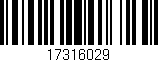 Código de barras (EAN, GTIN, SKU, ISBN): '17316029'