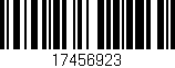 Código de barras (EAN, GTIN, SKU, ISBN): '17456923'