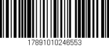 Código de barras (EAN, GTIN, SKU, ISBN): '17891010246553'