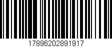 Código de barras (EAN, GTIN, SKU, ISBN): '17896202891917'