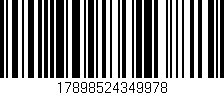 Código de barras (EAN, GTIN, SKU, ISBN): '17898524349978'
