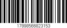 Código de barras (EAN, GTIN, SKU, ISBN): '17898566823153'