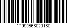 Código de barras (EAN, GTIN, SKU, ISBN): '17898566823160'