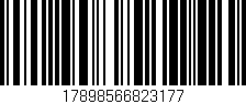 Código de barras (EAN, GTIN, SKU, ISBN): '17898566823177'