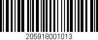 Código de barras (EAN, GTIN, SKU, ISBN): '205918001013'