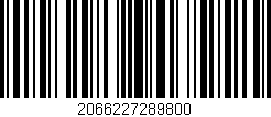 Código de barras (EAN, GTIN, SKU, ISBN): '2066227289800'