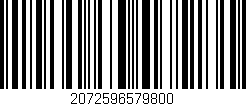 Código de barras (EAN, GTIN, SKU, ISBN): '2072596579800'