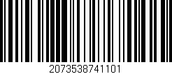 Código de barras (EAN, GTIN, SKU, ISBN): '2073538741101'