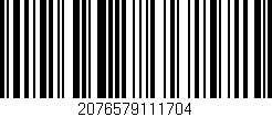Código de barras (EAN, GTIN, SKU, ISBN): '2076579111704'