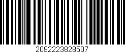 Código de barras (EAN, GTIN, SKU, ISBN): '2092223828507'