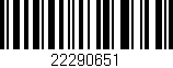 Código de barras (EAN, GTIN, SKU, ISBN): '22290651'