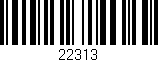 Código de barras (EAN, GTIN, SKU, ISBN): '22313'