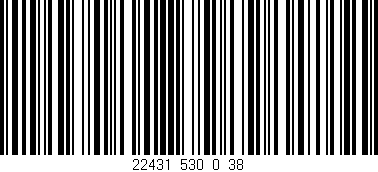 Código de barras (EAN, GTIN, SKU, ISBN): '22431_530_0_38'