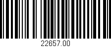 Código de barras (EAN, GTIN, SKU, ISBN): '22657.00'