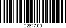 Código de barras (EAN, GTIN, SKU, ISBN): '22677.00'