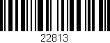 Código de barras (EAN, GTIN, SKU, ISBN): '22813'