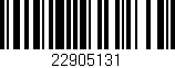 Código de barras (EAN, GTIN, SKU, ISBN): '22905131'
