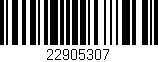 Código de barras (EAN, GTIN, SKU, ISBN): '22905307'