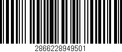 Código de barras (EAN, GTIN, SKU, ISBN): '2866228949501'