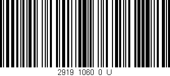 Código de barras (EAN, GTIN, SKU, ISBN): '2919_1060_0_U'