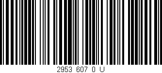Código de barras (EAN, GTIN, SKU, ISBN): '2953_607_0_U'