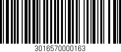 Código de barras (EAN, GTIN, SKU, ISBN): '3016570000163'
