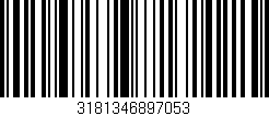 Código de barras (EAN, GTIN, SKU, ISBN): '3181346897053'