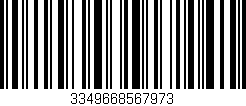 Código de barras (EAN, GTIN, SKU, ISBN): '3349668567973'